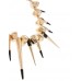 Колье Metal Spikes for ASOS black