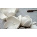 Колье MARNI at H&M Capsule Collection camellia flower